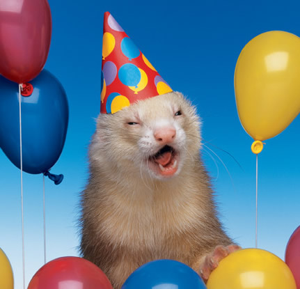 Name:  party hard.jpg
Views: 112
Size:  54.0 KB
