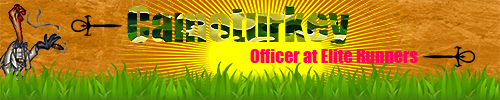 Name:  camoturky.jpg
Views: 1085
Size:  100.1 KB