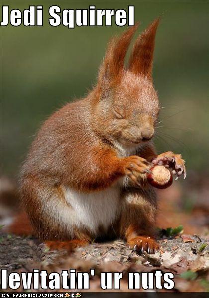Name:  cf139_funny-pictures-jedi-squirrel-levitatin-ur-nuts.jpg
Views: 178
Size:  45.5 KB