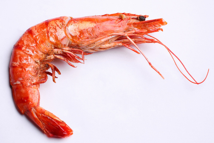 Name:  shrimp2.jpg
Views: 299
Size:  119.9 KB