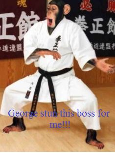 Name:  meme5.JPG
Views: 2037
Size:  23.5 KB