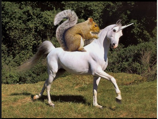 Name:  squirrel-on-unicorn1.png
Views: 165
Size:  360.0 KB