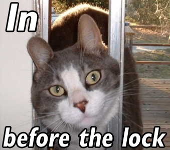 Name:  inb4lock_93239a_163980.jpg
Views: 157
Size:  23.0 KB