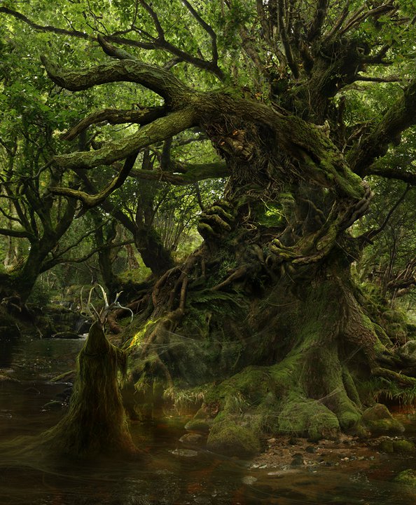 Name:  green man1.jpg
Views: 1063
Size:  139.9 KB