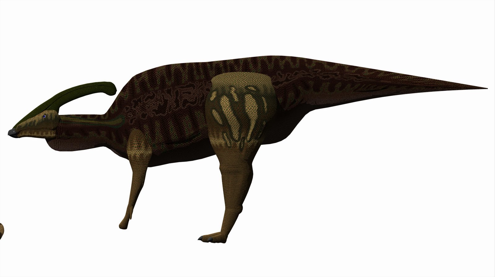Name:  dactylosaur.jpg
Views: 329
Size:  114.2 KB