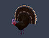 Click image for larger version. 

Name:	turkey-pet.jpg 
Views:	1104 
Size:	54.9 KB 
ID:	239334