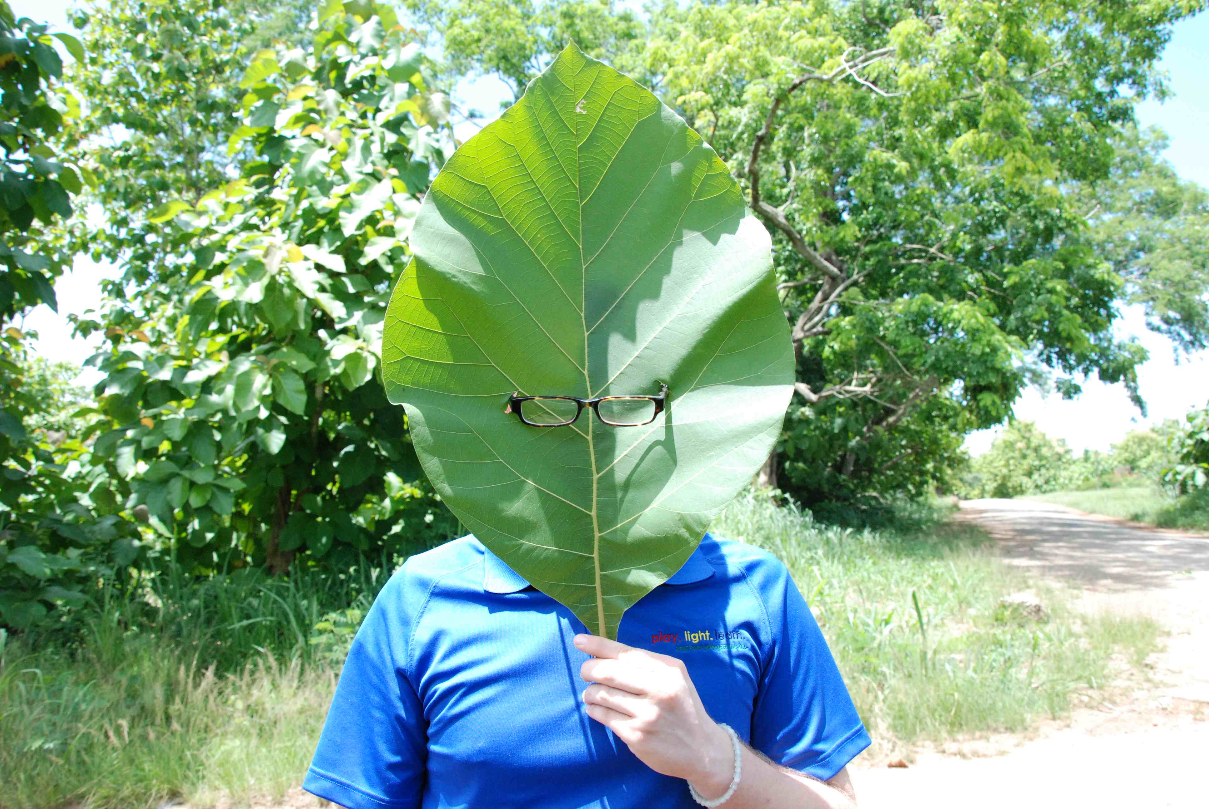 Name:  leaf-head.jpg
Views: 566
Size:  542.2 KB