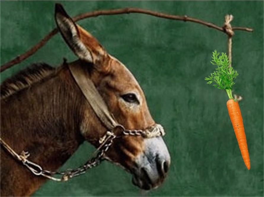 Name:  donkey-and-carrot.jpg
Views: 435
Size:  57.7 KB