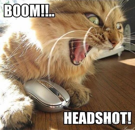 Name:  c1411_Boom-Headshot-Cat.jpg
Views: 161
Size:  63.1 KB